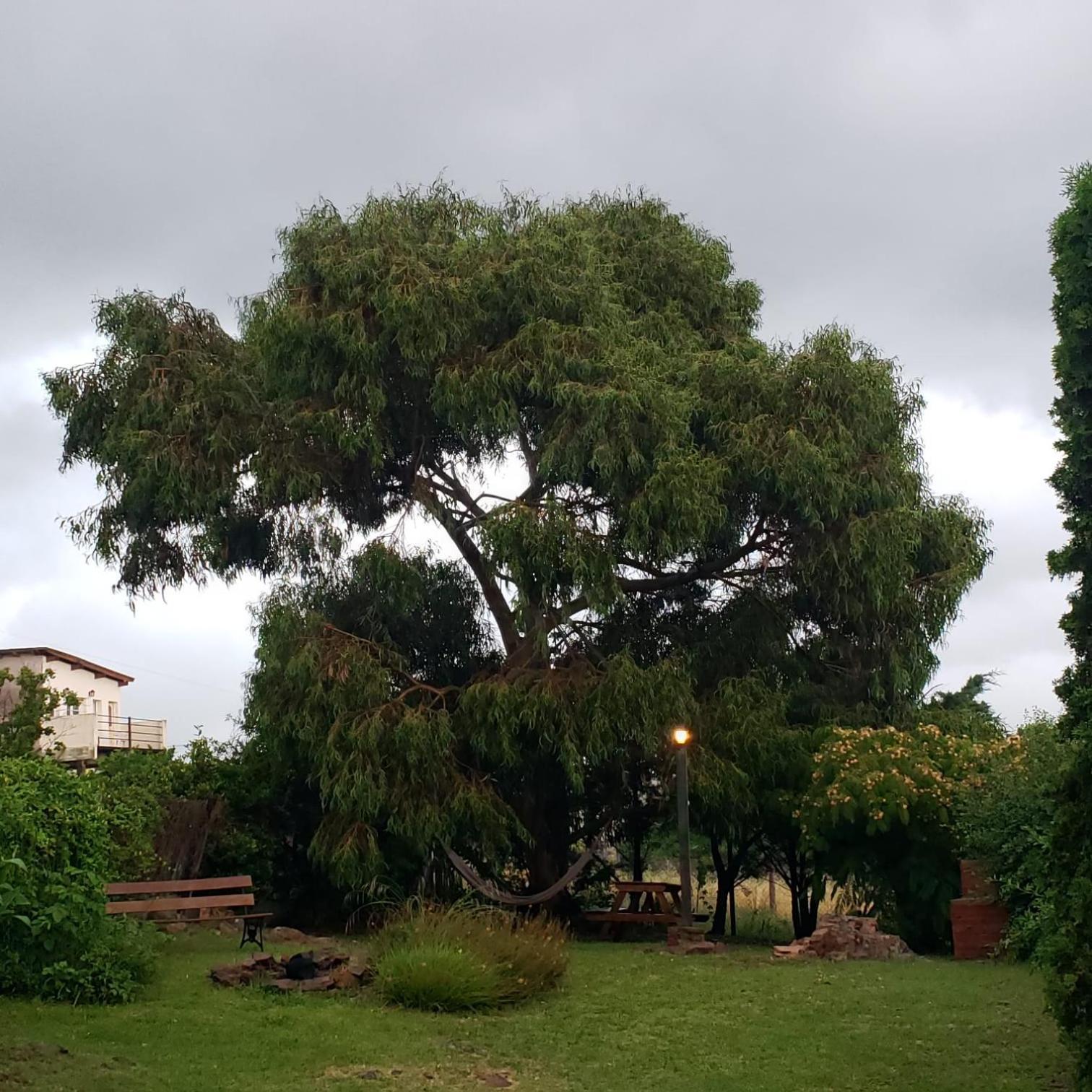 Casa Bordo, B & B Tandil Luaran gambar